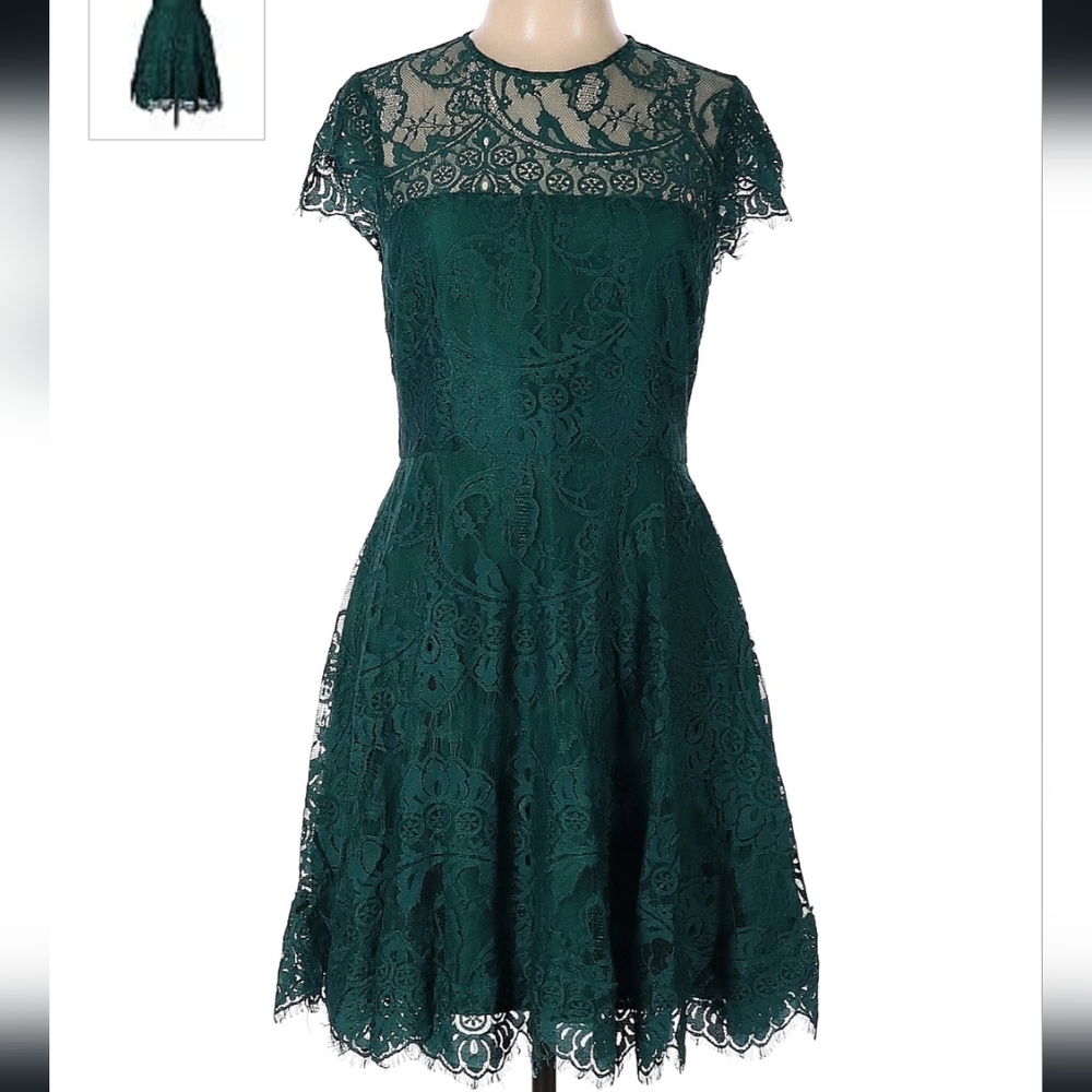 Gorgeous lace dark green dress NWOT
